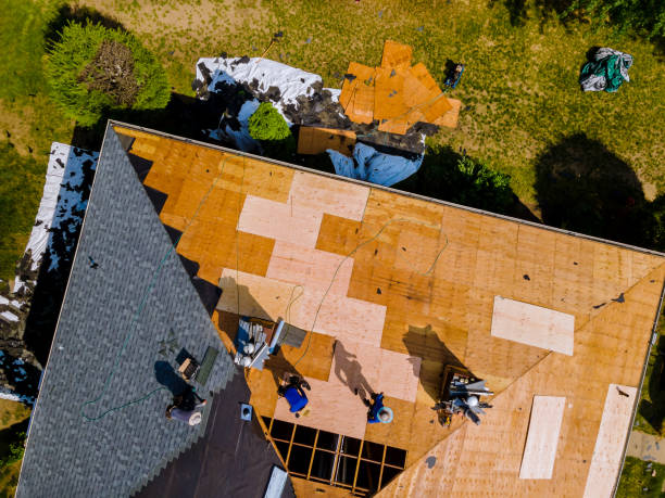 Best Metal Roofing Contractor  in Robinson, IL